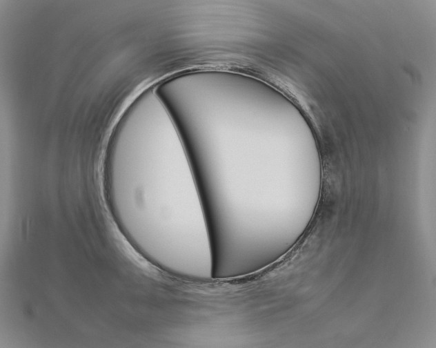 X0000113031091200908271050