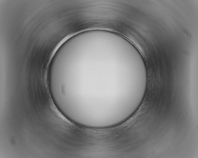 X0000113031092200908271050