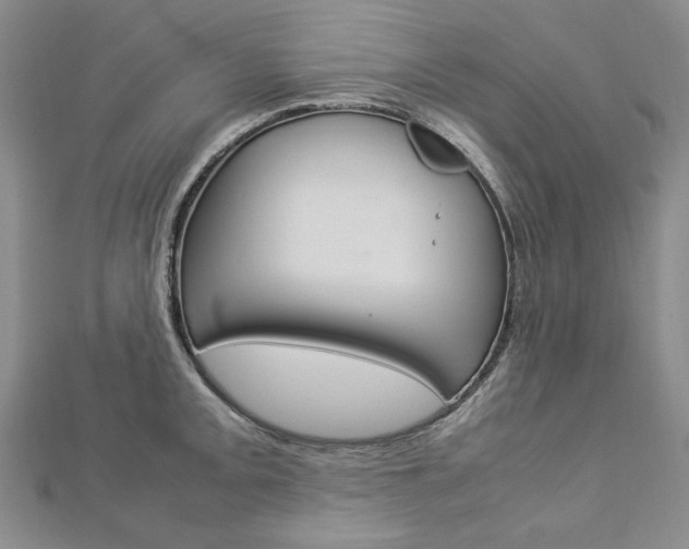 X0000113031093200908271050