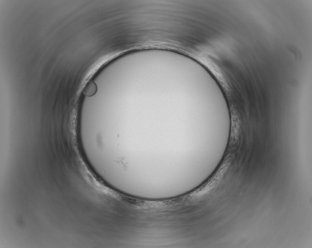 X0000113031094200908271050