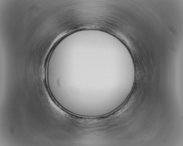 X0000113031095200908271050
