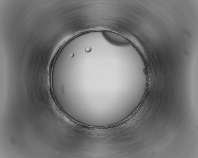 X0000113031096200908271050