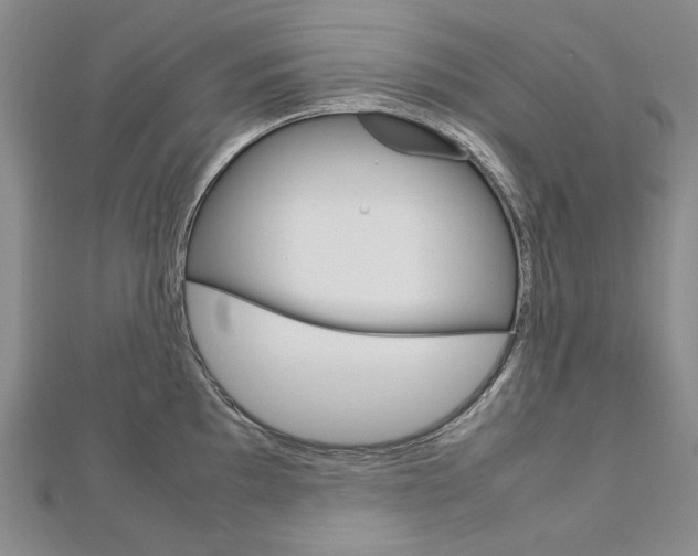 X0000113031097200908271050