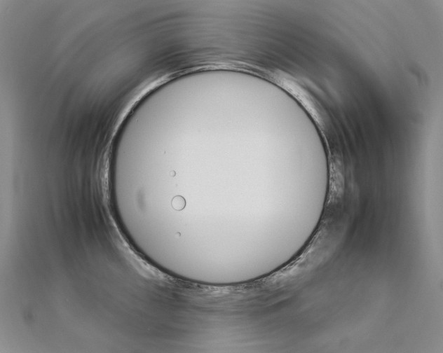 X0000113031098200908271050