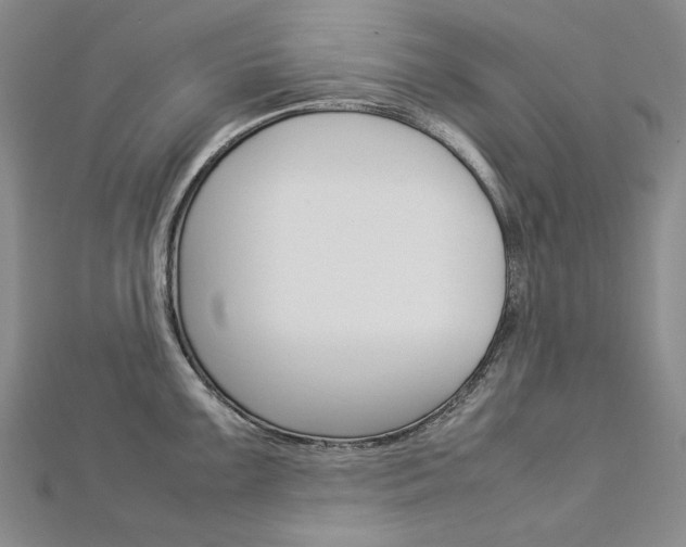 X0000113031099200908271050
