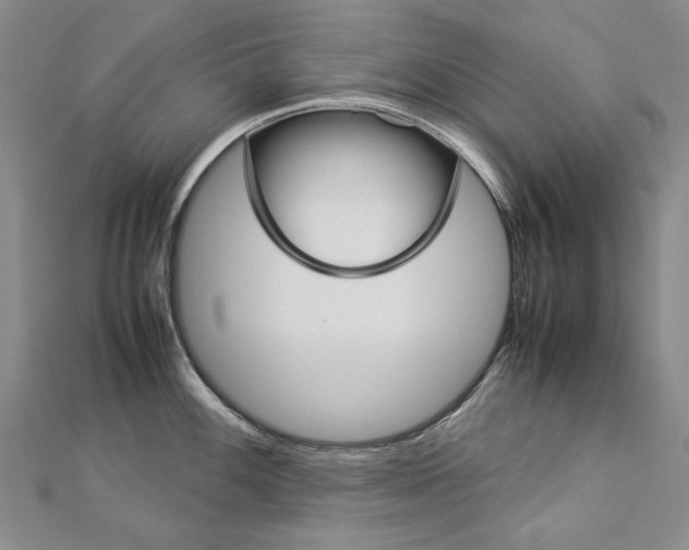 X0000113031100200908271050