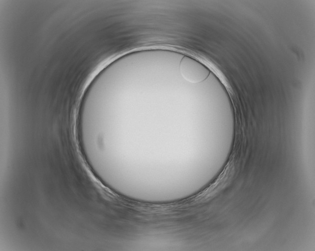 X0000113031101200908271050
