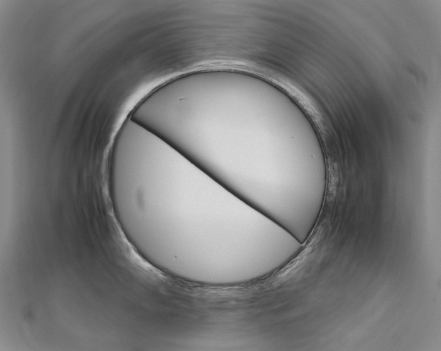 X0000113031102200908271050