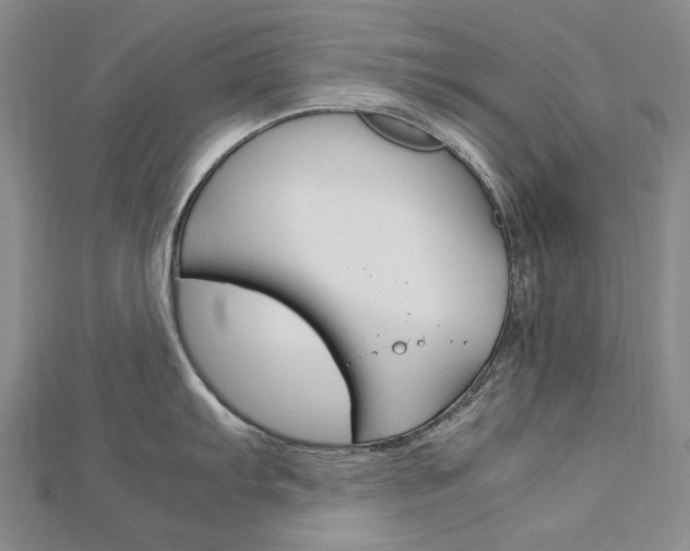 X0000113031103200908271050