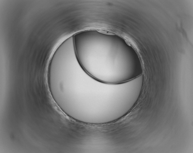 X0000113031104200908271050