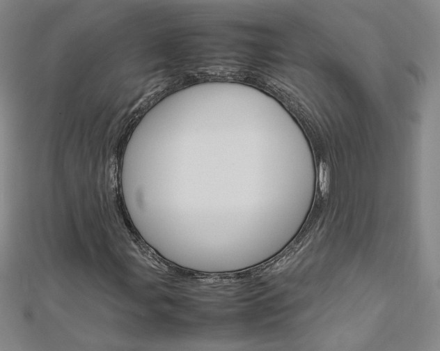 X0000113031107200908271049