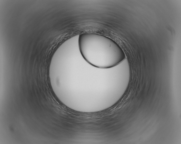 X0000113031108200908271049