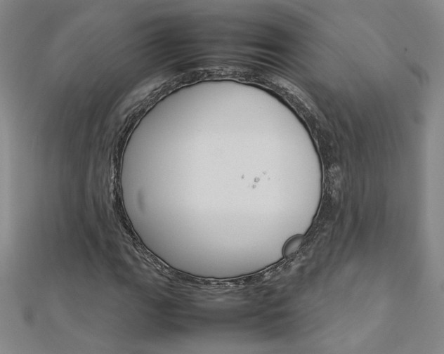 X0000113031111200908271049