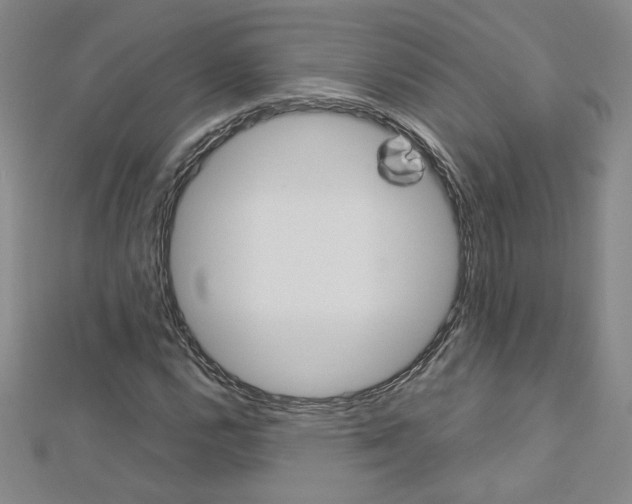 X0000113031112200908271049