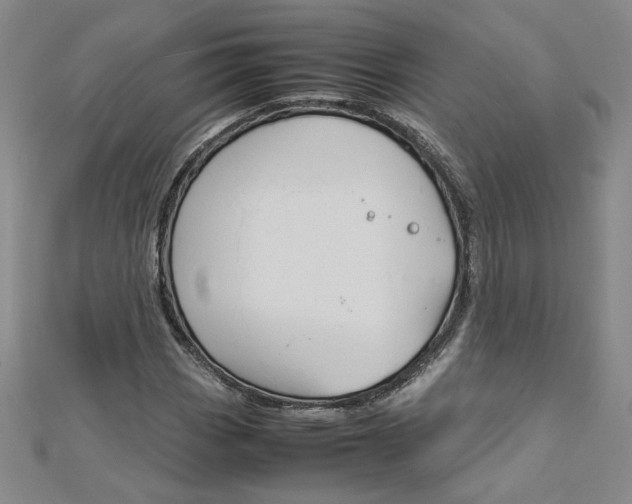 X0000113031113200908271049