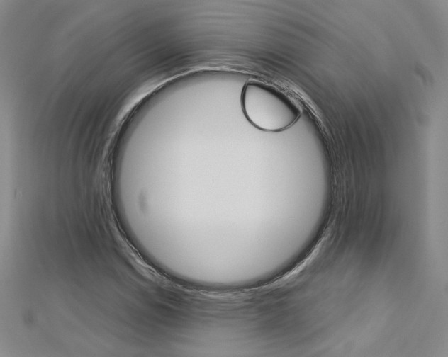 X0000113031114200908271049