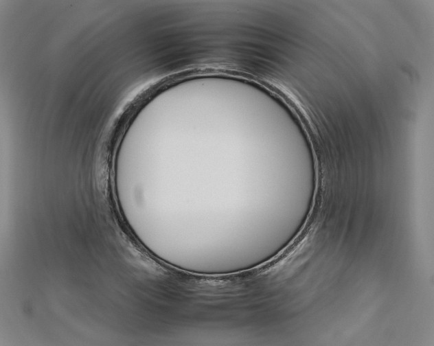 X0000113031115200908271049