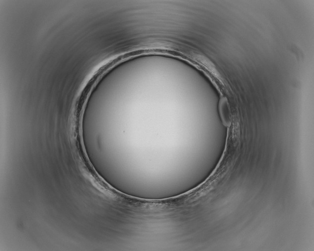 X0000113031116200908271049