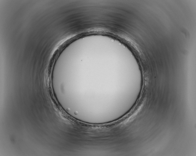 X0000113031117200908271049