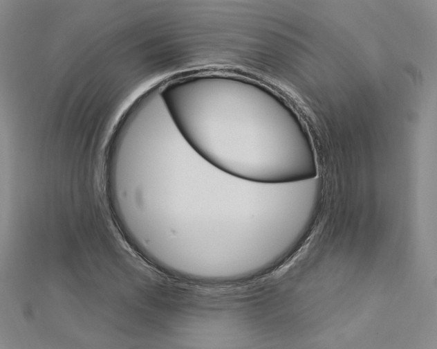 X0000113031118200908271049