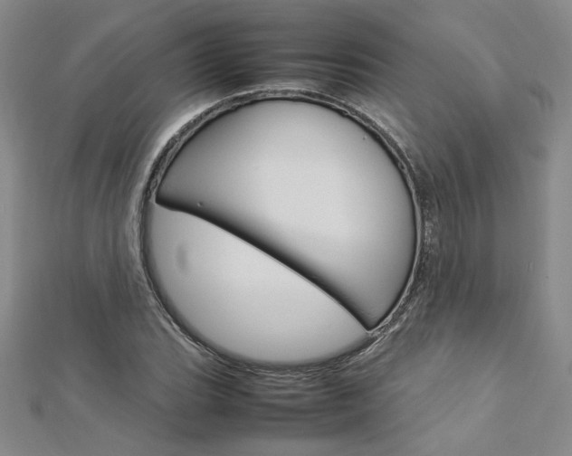 X0000113031119200908271049