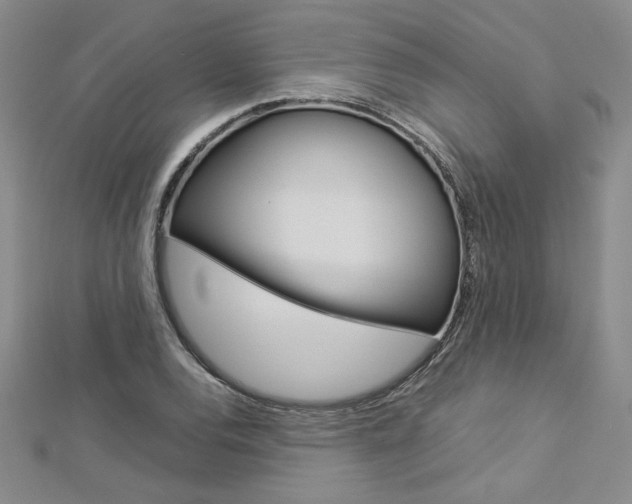 X0000113031120200908271049