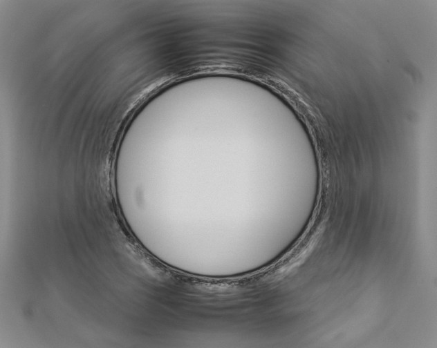 X0000113031121200908271049