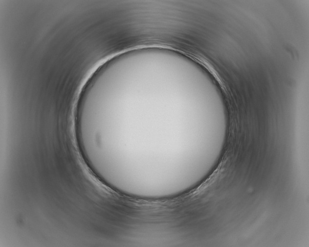 X0000113031124200908271049