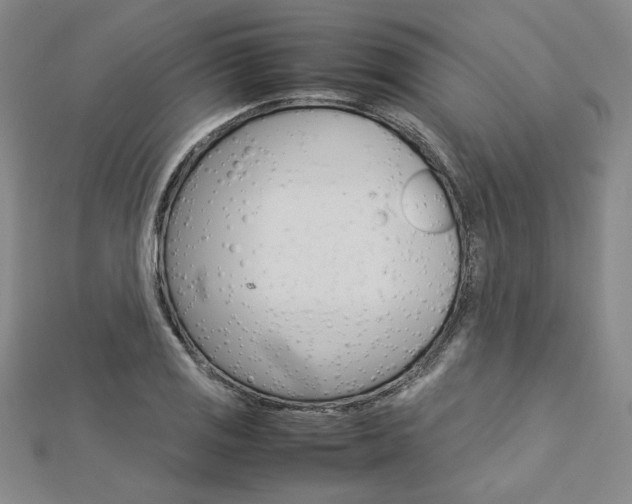 X0000113031125200908271049