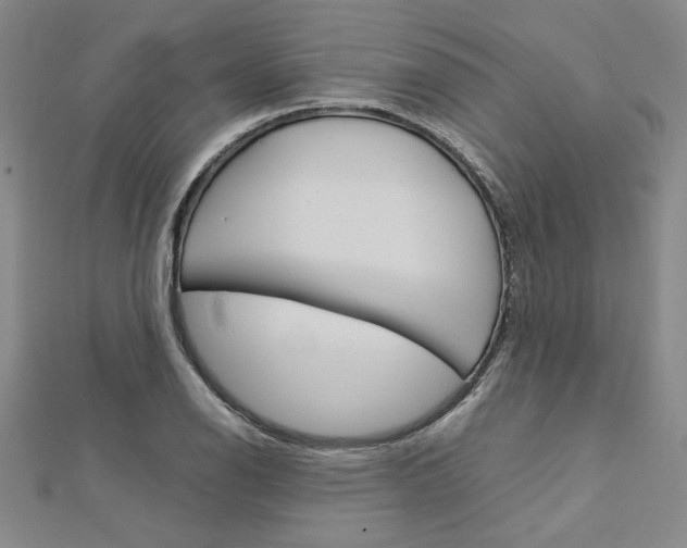 X0000113031126200908271049