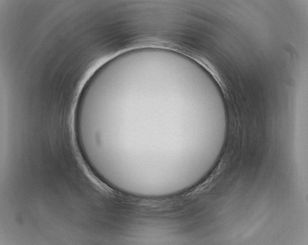 X0000113031128200908271049