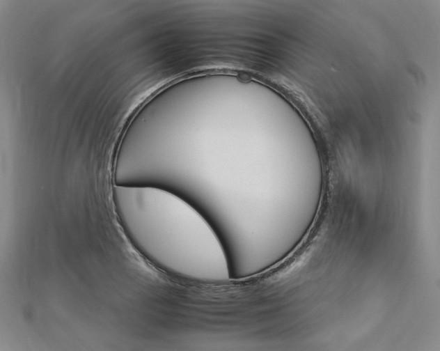 X0000113031129200908271049