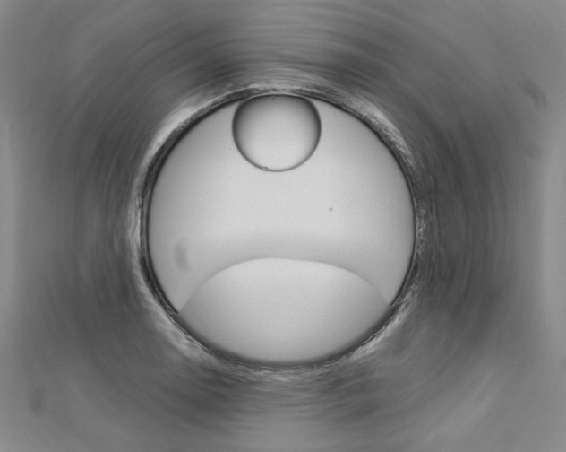 X0000113031130200908271049