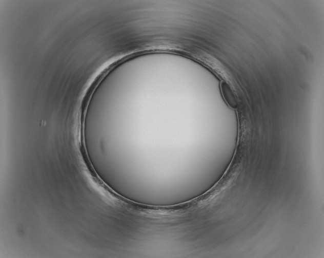 X0000113031132200908271049