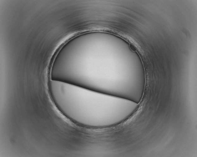 X0000113031134200908271049