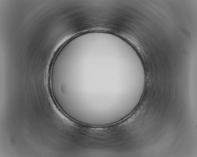 X0000113031135200908271049