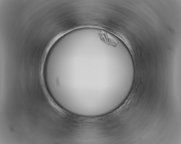 X0000113031136200908271049