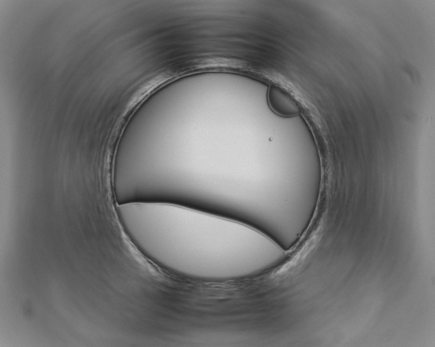 X0000113031137200908271049