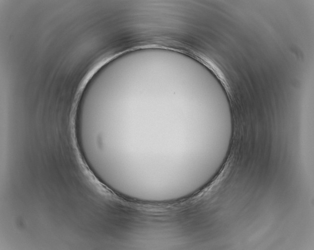 X0000113031138200908271049