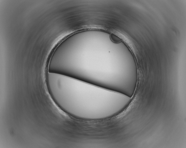 X0000113031141200908271049