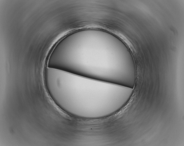 X0000113031142200908271049