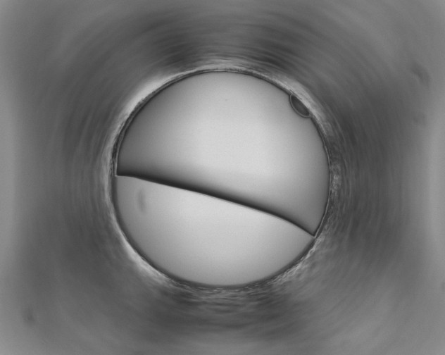 X0000113031143200908271049