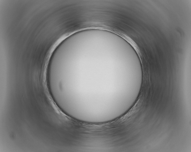 X0000113031144200908271049