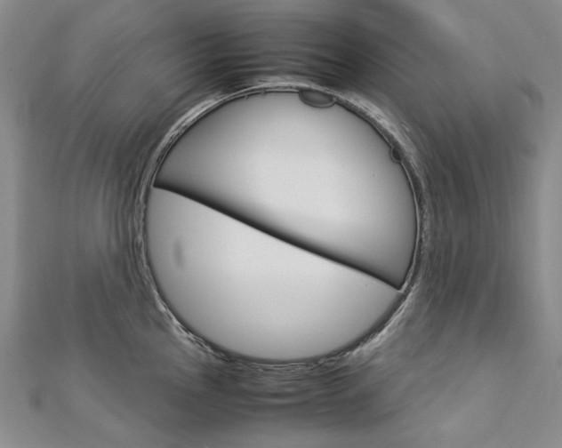 X0000113031145200908271049