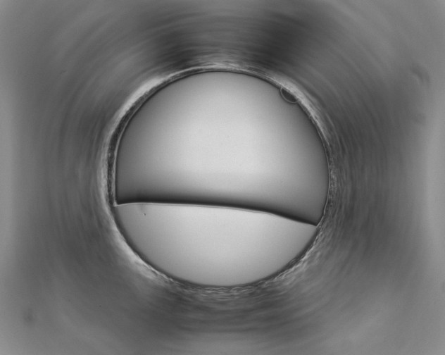 X0000113031147200908271049