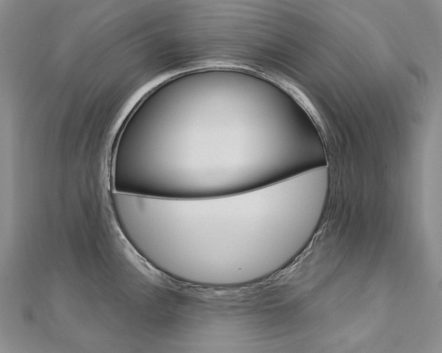 X0000113031148200908271049