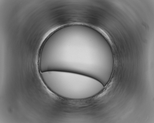 X0000113031149200908271049