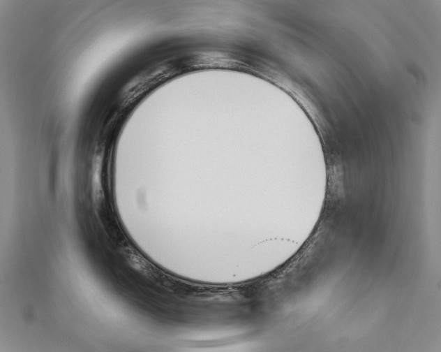X0000113031150200908271049