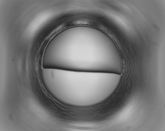 X0000113031151200908271049