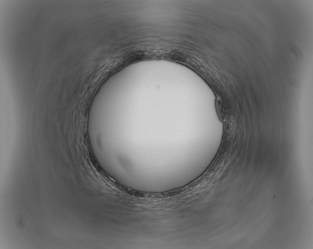 X0000113031153200908271049